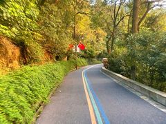 -杭州半山国家森林公园