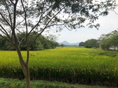 -良渚古城遗址公园