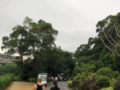 -金鸡山公园
