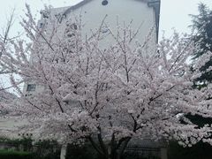 -江南大学(蠡湖校区)