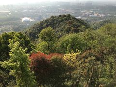 -杭州半山国家森林公园