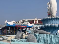 -芜湖新华联大白鲸海洋公园