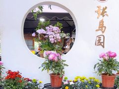 -张鸟园农家乐(张鸟园店)