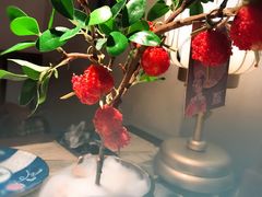 红尘妃子笑-遇见长安之高山流水(李家村万达店)