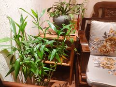 -畅和茶坊·曦瓜中国大红袍