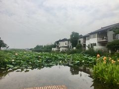 -祝甸砖窑文化馆