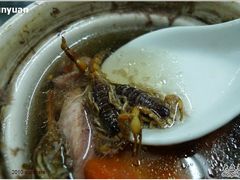 慎入，蝎子咬开会爆浆于是映像留念-信行丰炖品皇店(光孝路店)
