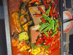 毛血旺烤鱼-探鱼·鲜青椒爽麻烤鱼(天一广场店)