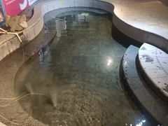-汇雅温泉