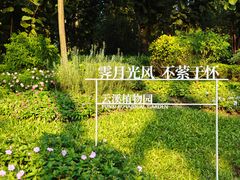 -云溪植物园