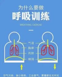 点击看大图 -昕孕瑜伽·孕妇瑜伽·产后修复