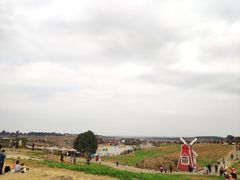 -空港花田景区