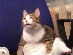 -泮金大塘(北二七路店)