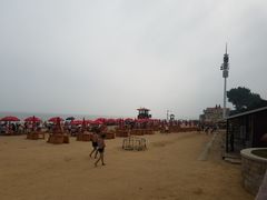 -老虎石海上公园