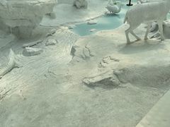 -中国湿地博物馆
