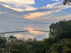 -上海市保健医疗中心