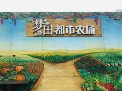 -梦田都市农场(银泰城店)