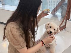 -共舞时光猫咖·狗咖(新街口店)