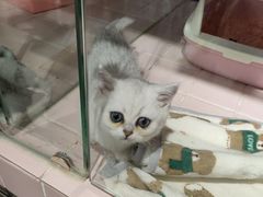 -FAELING PETS美天灵宠物(富力广场店)