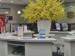 -中国民生银行(上海分行营业部)