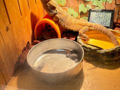 -小小班私人影院·猫咖(万达茂广场店)