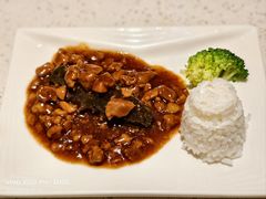 -船歌·鱼水饺青岛菜(金狮广场店)