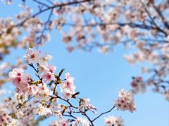 -上海山野camping·户外天幕烧烤·团建拓展营地