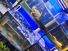 -启东小海鲜(庄先湾路1号店)