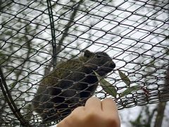 -合肥滨湖国家森林公园