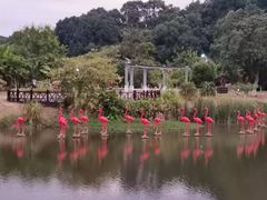 -福州大学(旗山校区)