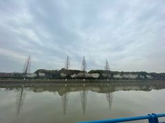 -高东镇樱花园