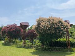 -武汉园博园(武汉自然博物馆)
