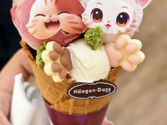 -哈根达斯(龙湖时代天街店)