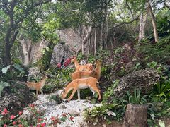 -鹿回头风景区