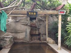 -天赐温泉