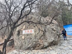 -阳台山自然风景区