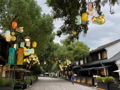 -西溪国家湿地公园