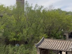 -爱新觉罗皇家博物院