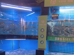 -千岛湖小鱼儿·淳安匠心农家菜