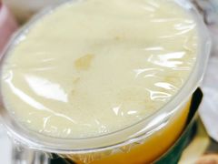 -野萃山·潮汕厚果汁(十亩地店)
