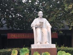 -白洋淀景区
