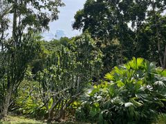 -中国科学院西双版纳热带植物园