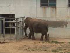 iphone_upload_pic-西安秦岭野生动物园