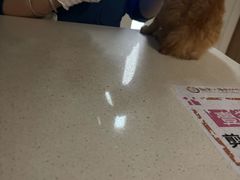 -瑞派康怡24h宠物医院·犬猫医疗中心·微创绝育(瑞景分院)