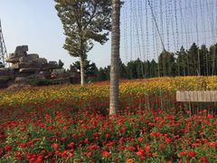 -羊亭河湿地公园