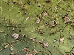 -丝绸小镇荻港古村