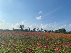 -长春世界雕塑园冰雪艺术天地