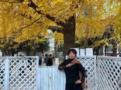 -辽宁大学(崇山校区)