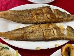 香煎龙利鱼-蛇口康乐快餐鱼仔档(翠苑小区店)