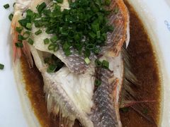 -黄埔华苑酒家(黄埔总店)